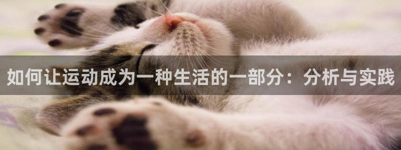 如何让运动成为一种生活的一部分：分析与实践