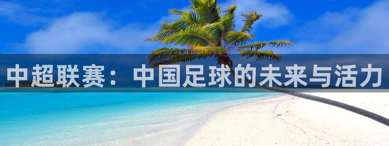 中超联赛：中国足球的未来与活力