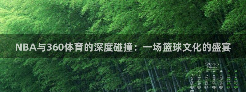 NBA与360体育的深度碰撞：一场篮球文化的盛宴