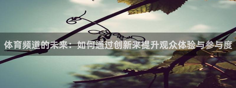 体育频道的未来：如何通过创新来提升观众体验与参与度