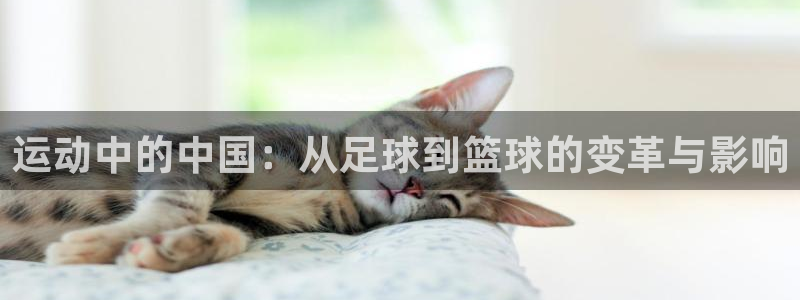 运动中的中国：从足球到篮球的变革与影响