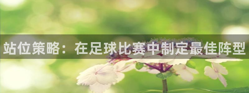 站位策略：在足球比赛中制定最佳阵型