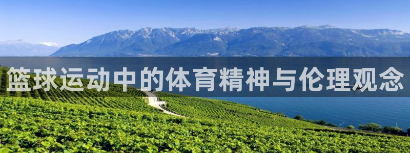 九球比赛视频：篮球运动中的体育精神与伦理观念