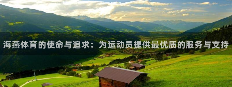 九球比赛视频：海燕体育的使命与追求：为运动员提供最优质的服务与支持