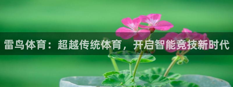 九球完整规则：雷鸟体育：超越传统体育，开启智能竞技新时代