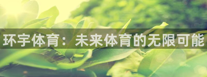 九球直播高清免费观看：环宇体育：未来体育的无限可能