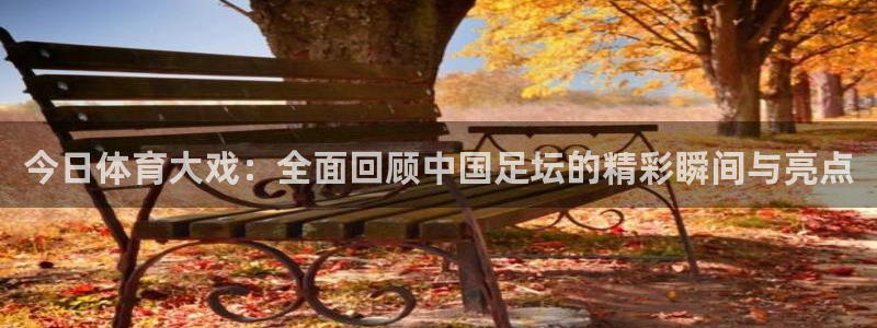 九球直播免费在线观看：今日体育大戏：全面回顾中国足坛的精彩瞬间与亮点