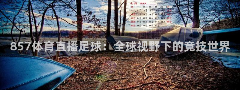 九球直播最新版：857体育直播足球：全球视野下的竞技世界