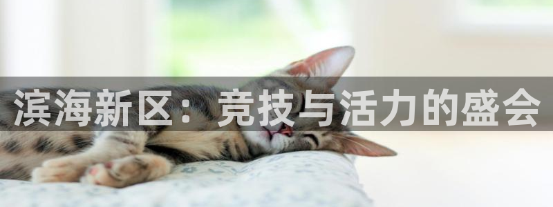 九球nba在线直播