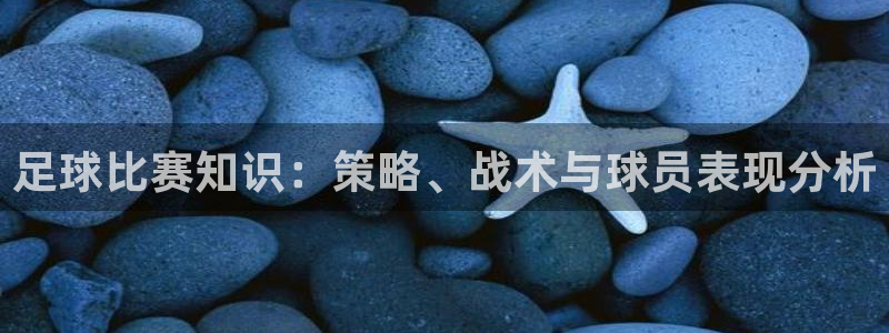 九球体育免费直播：足球比赛知识：策略、战术与球员表现分析