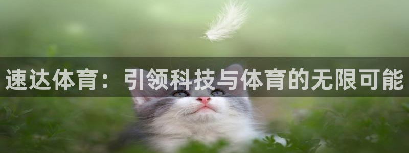 九球体育直播免费直播入口：速达体育：引领科技与体育的无限可能