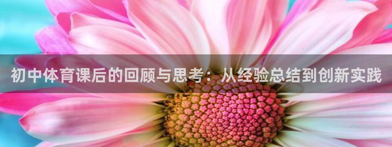 九球直播nba在线观看：初中体育课后的回顾与思考：从经验总结到创新实践