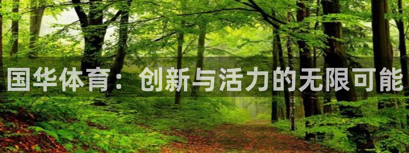 九球直播nba下载：国华体育：创新与活力的无限可能